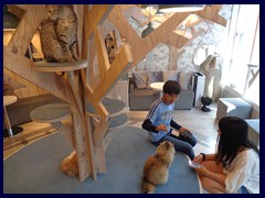 Cat Café